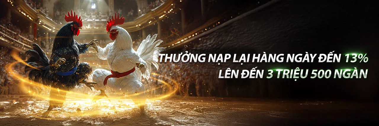 Hình ảnh chính ứng dụng bcr55 trên điện thoại di động với các tính năng cá cược trực tuyến
